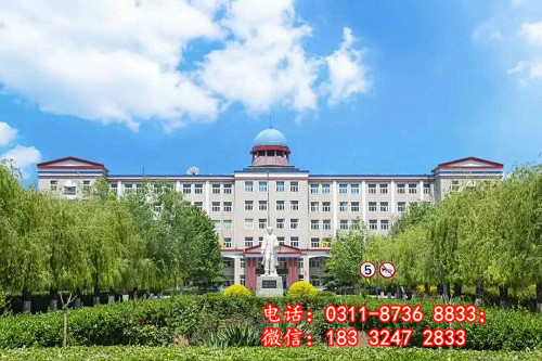 初中起點學(xué)醫(yī)和高中起點學(xué)醫(yī)升入大學(xué)后有什么區(qū)別？