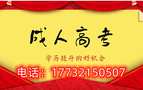 干貨！備考必讀，成考不踩雷！