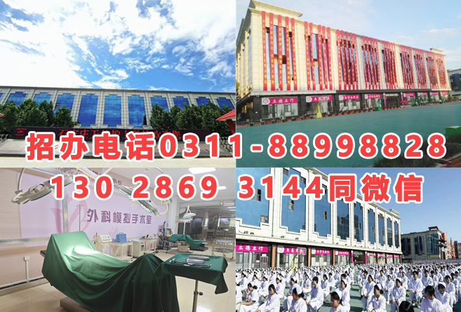 2026年石家莊天使護(hù)士學(xué)校秋季招生簡章