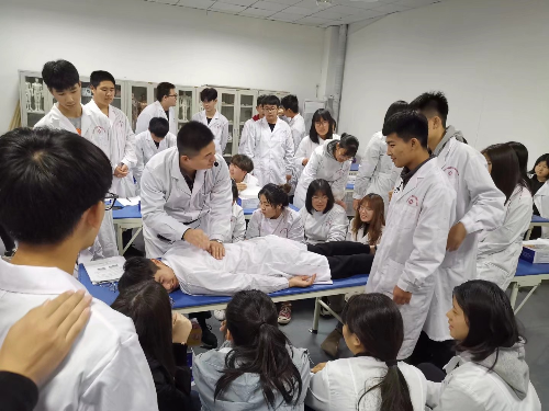 石家莊冀聯(lián)醫(yī)學中專學校中醫(yī)專業(yè)升學可以考哪些學校？